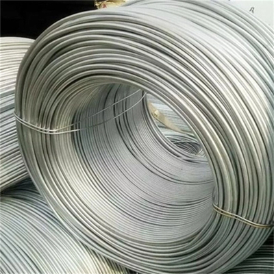 5.5mm Galvanized Steel Wire Rope Nylon PA12 Coated Galvanized Iron Wire