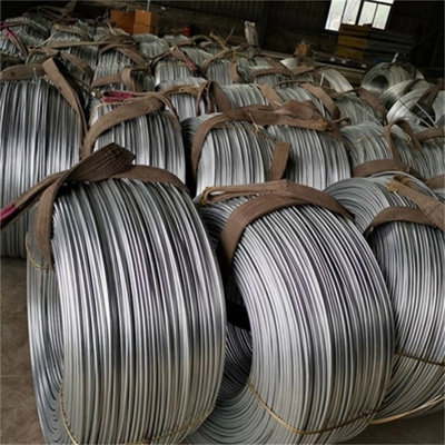 5.5mm Galvanized Steel Wire Rope Nylon PA12 Coated Galvanized Iron Wire